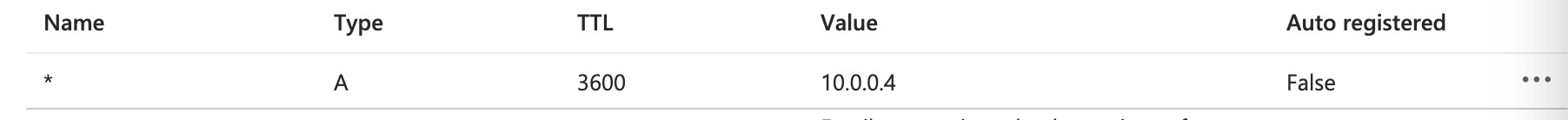 Private Link DNS 通配符设置
