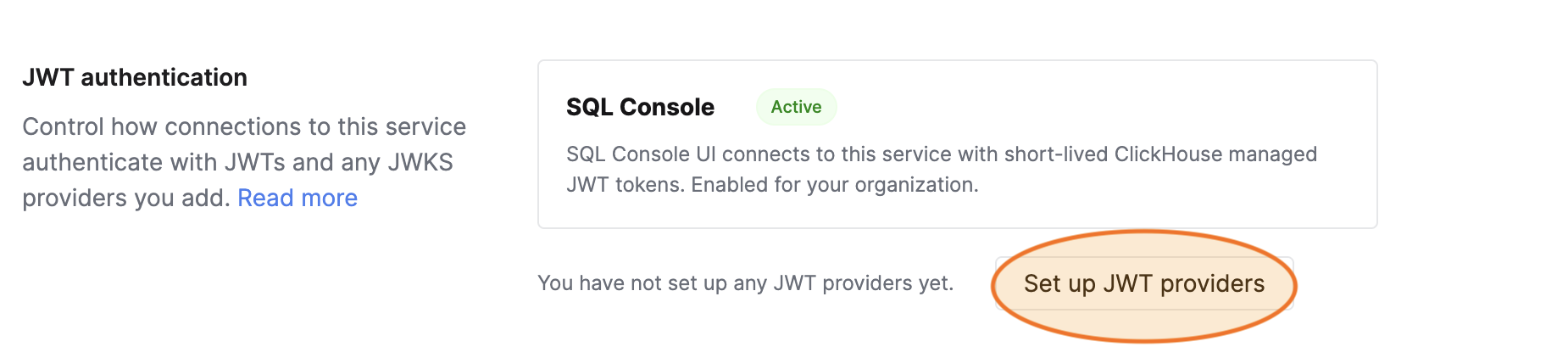 서비스 보안 설정의 JWT authentication 섹션